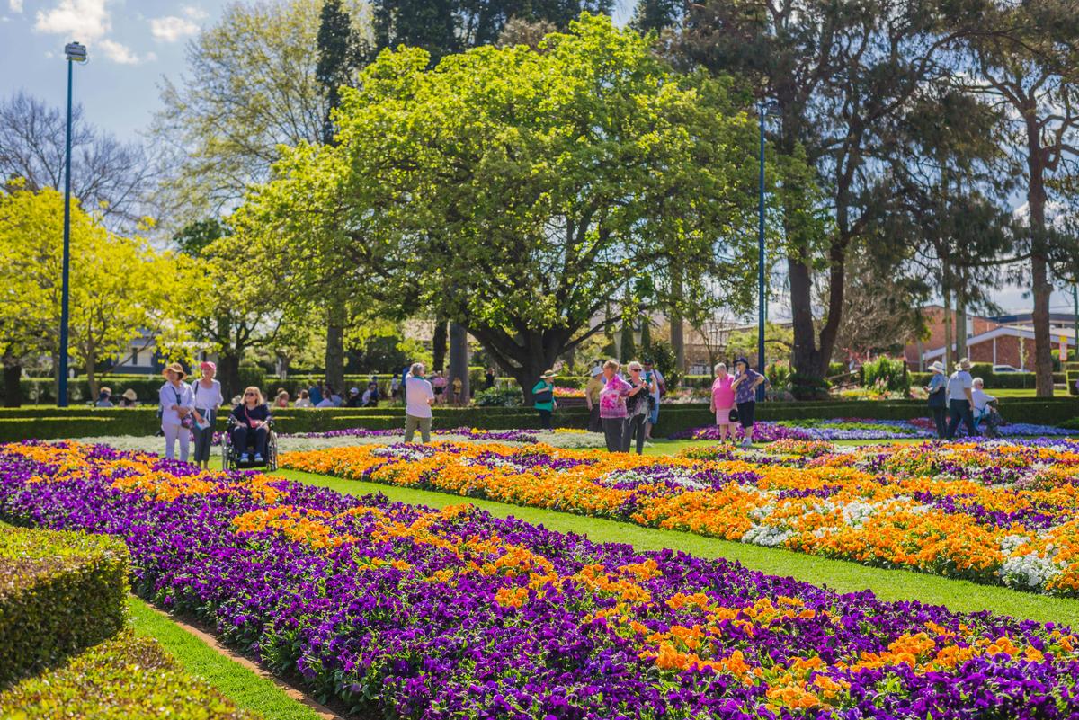Carnival time