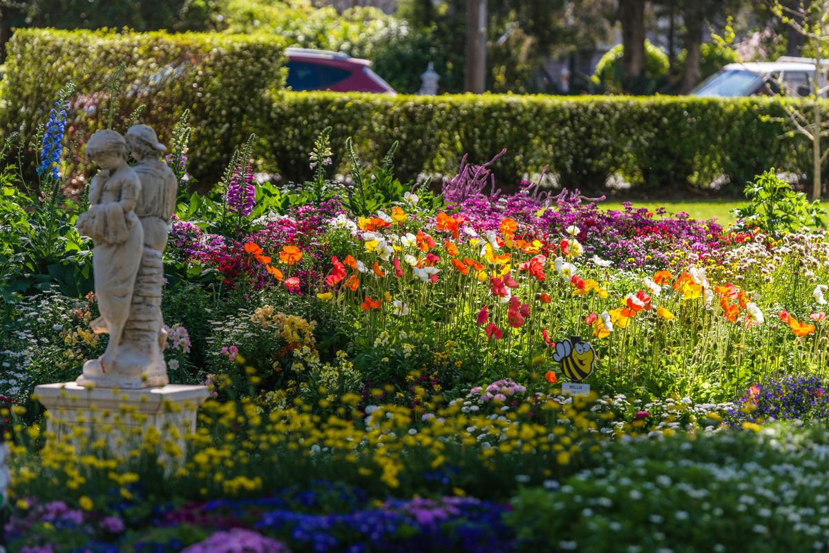 Spring flowers