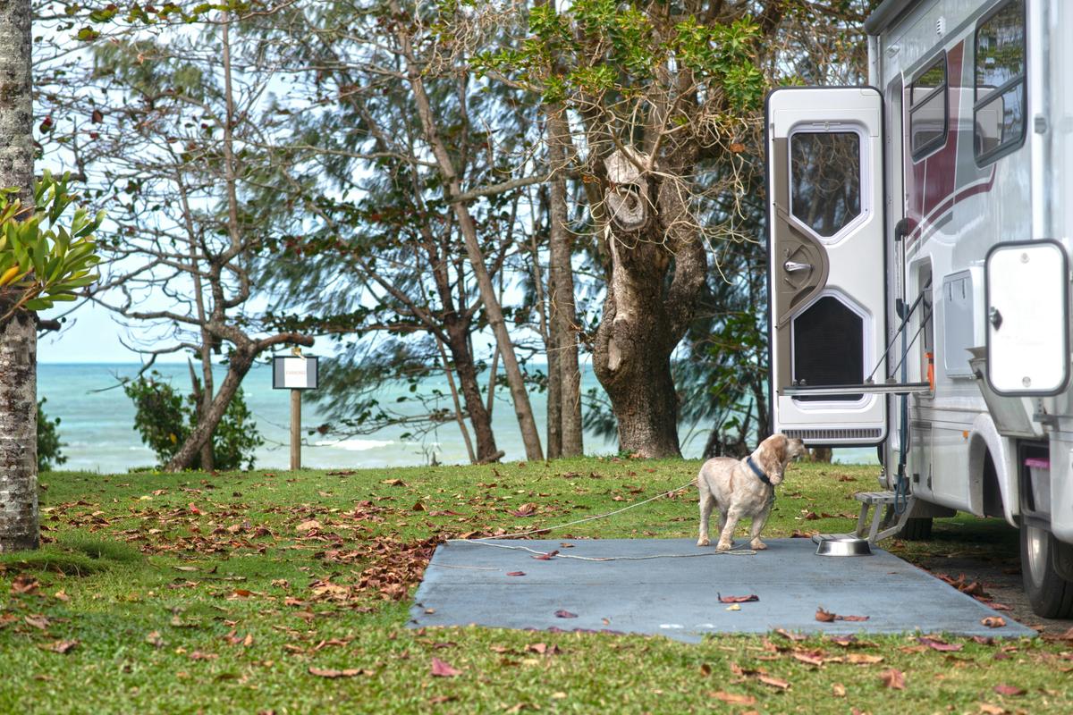 Powered Beachfront Site