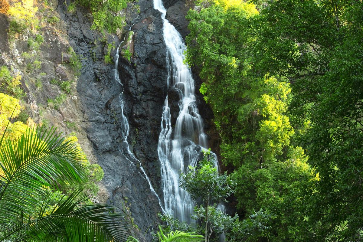 Kondalilla Falls, Kondalilla National Park