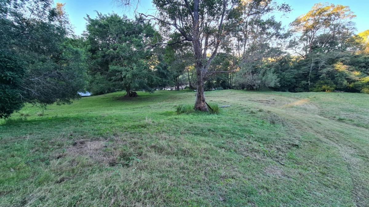 Koala Creek Camping