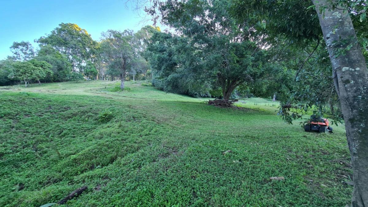 Koala Creek Camping