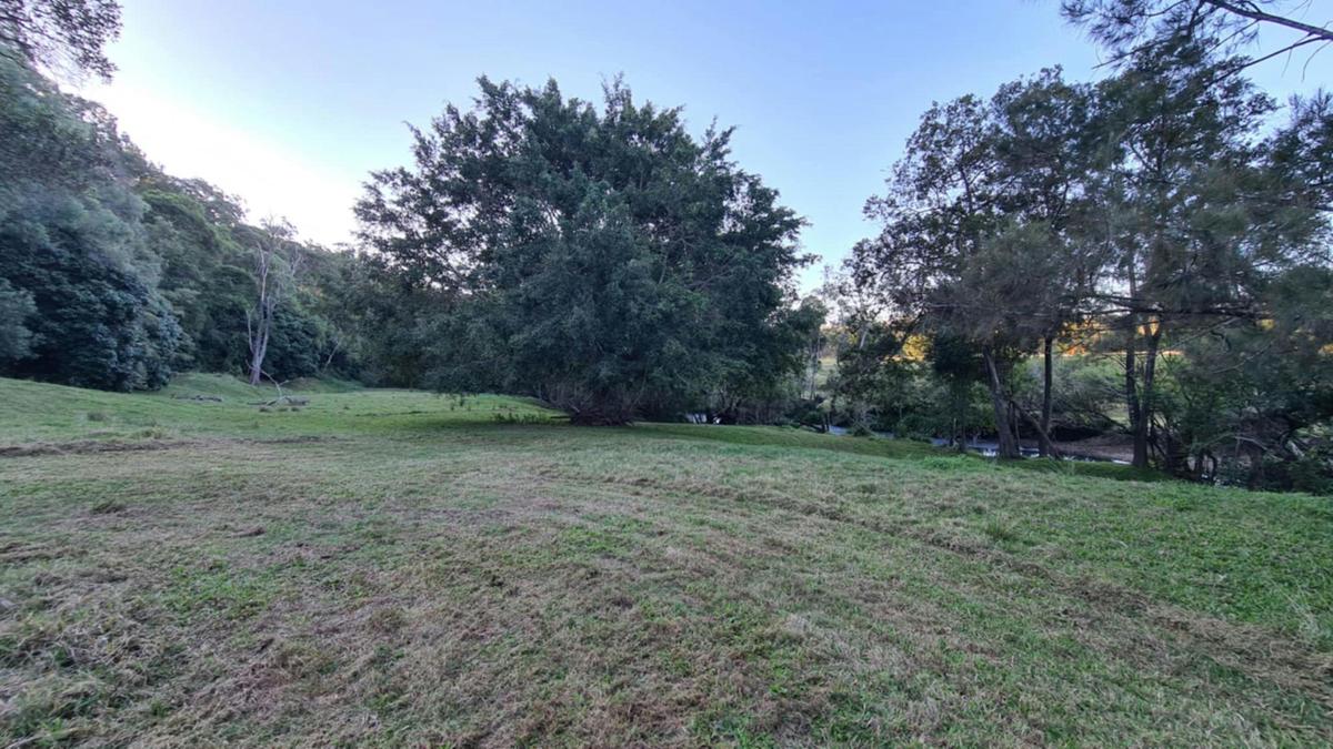 Koala Creek Camping