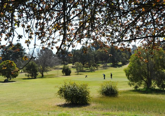 Narrandera Golf Course