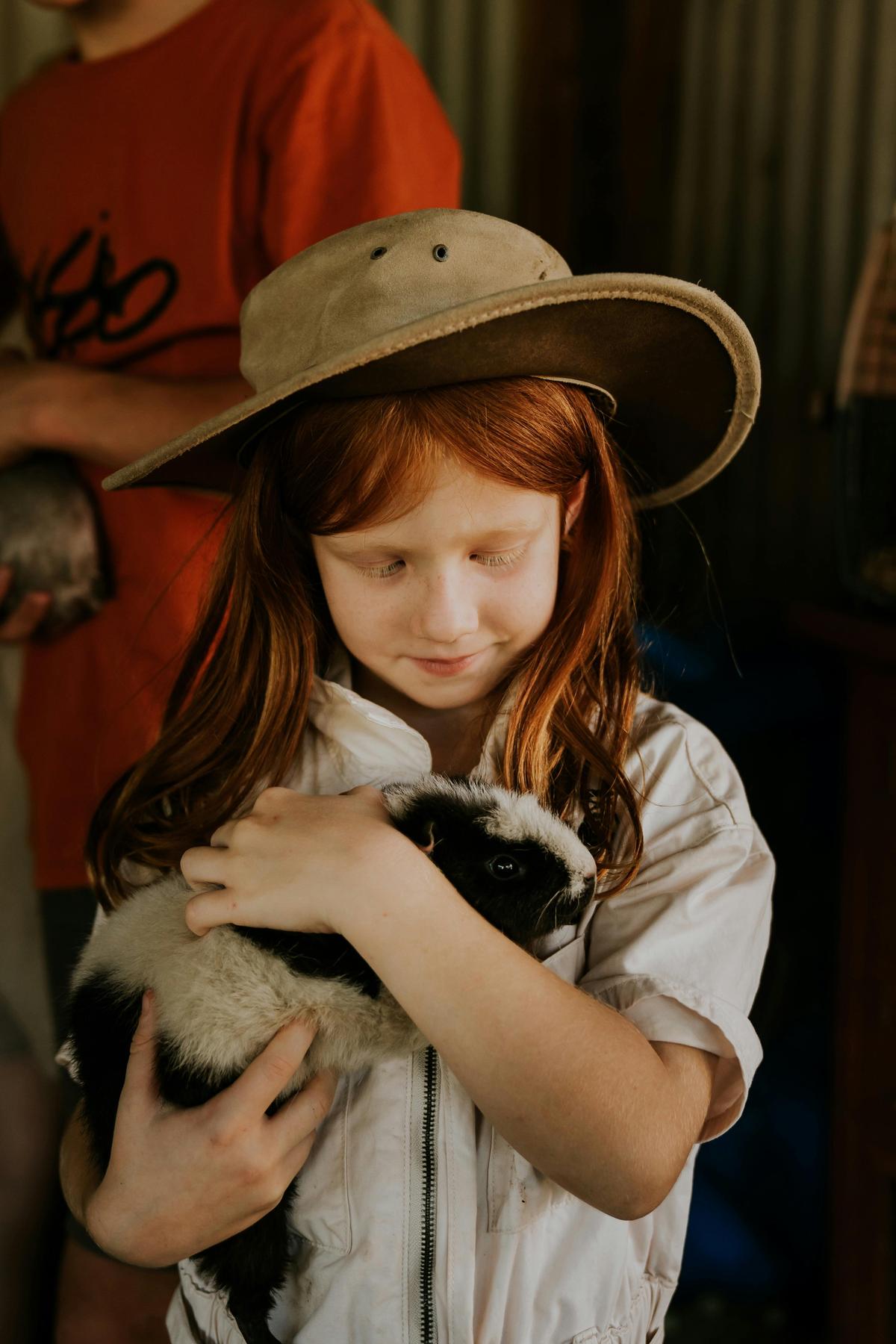 Guinea Pig Cuddles