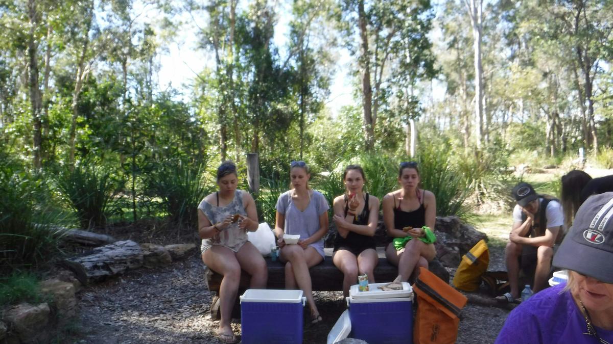 Noosa Everglades 1 Day Self- Guided Kayak Adventure