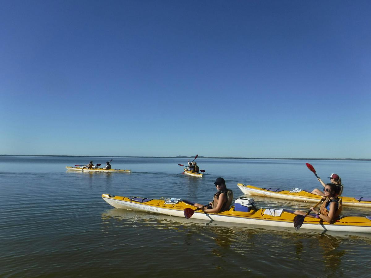 Noosa Everglades Half  Day Guided Kayak Tour