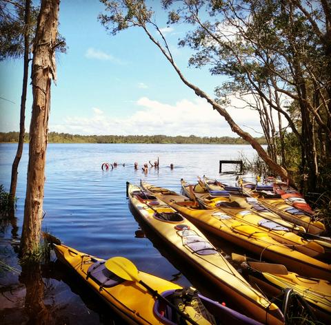 Noosa Everglades Half Day Guided Kayak Tour