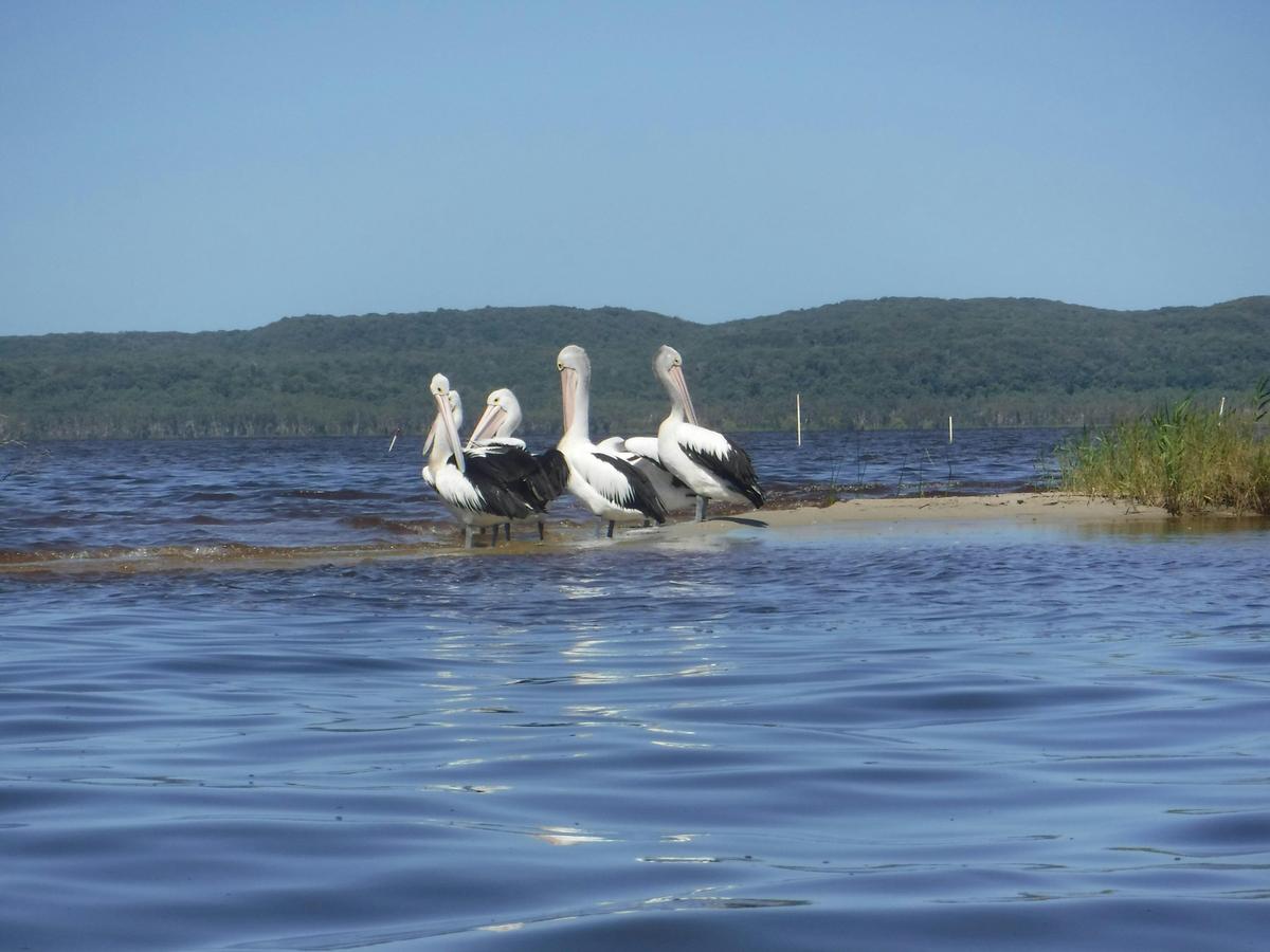 2 Day Guided Kayak Tour