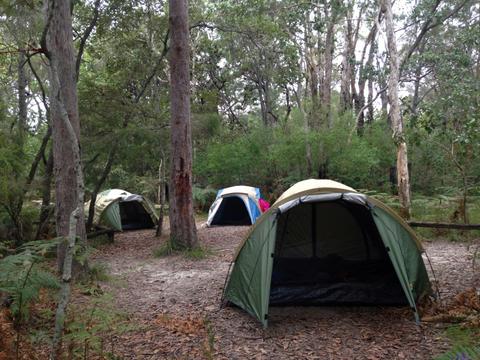 Noosa Everglades 2 Days Self- Guided Kayak and Camping Adventure