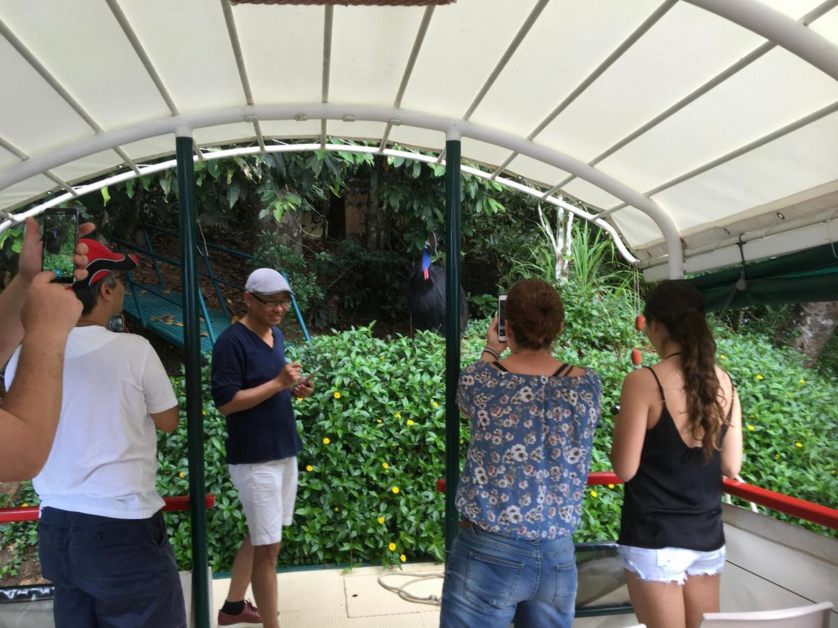 Kuranda Riverboat Wet Tropics Rainforest Cruise