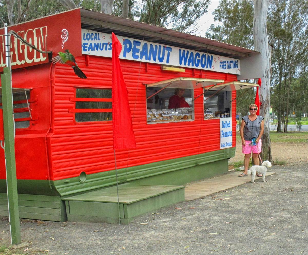 The Peanut Wagon at Lions Park, Nanango