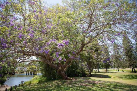 Leis Park