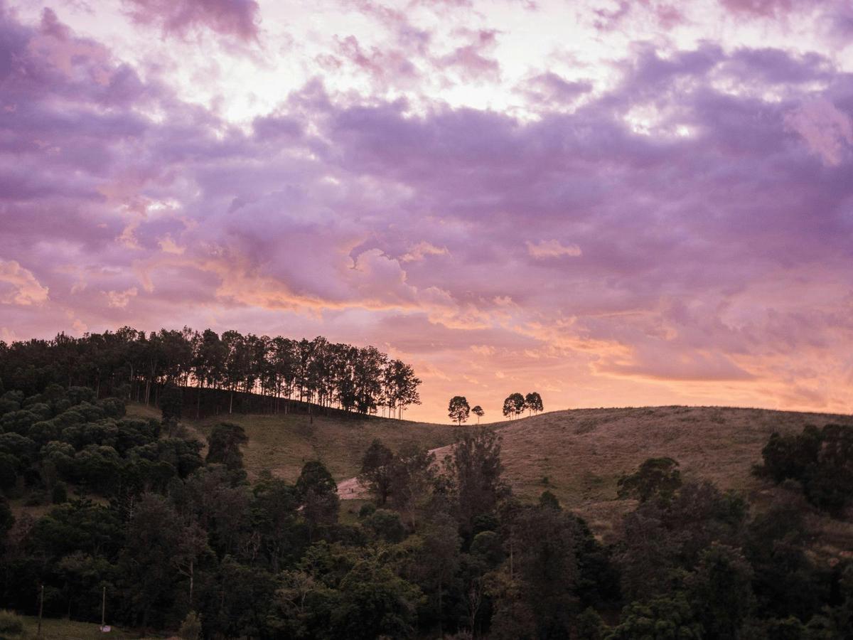 Evening light settles over the rolling hills and forested ridgelines surrounding Mackenzie Creek