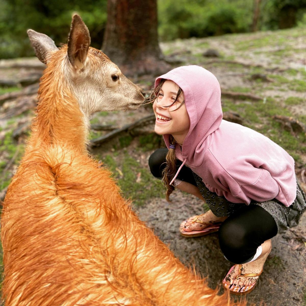 Our deer love making new friends