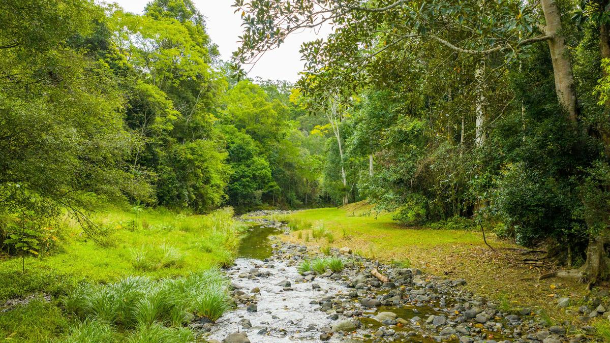 Lacrana by the Creek