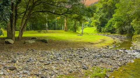 Lacrana by the Creek