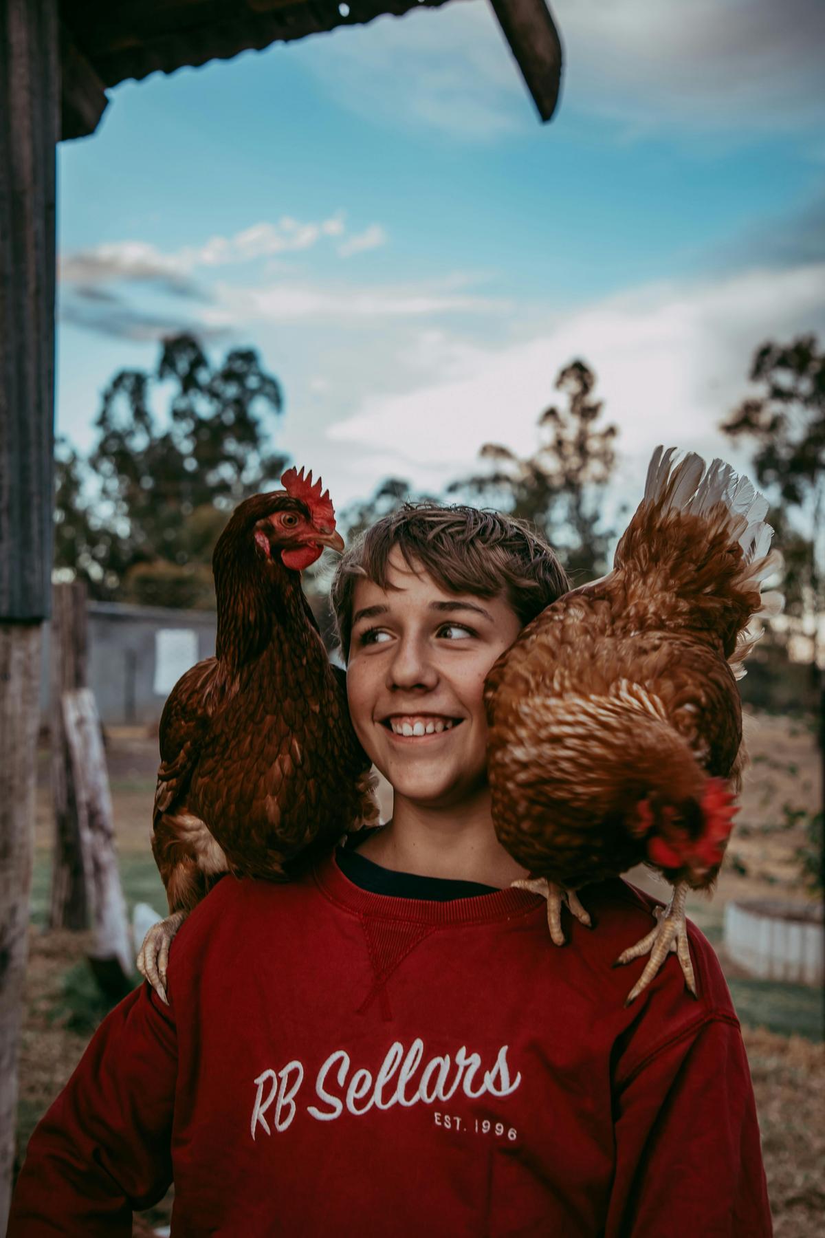 Our chickens love visitors!