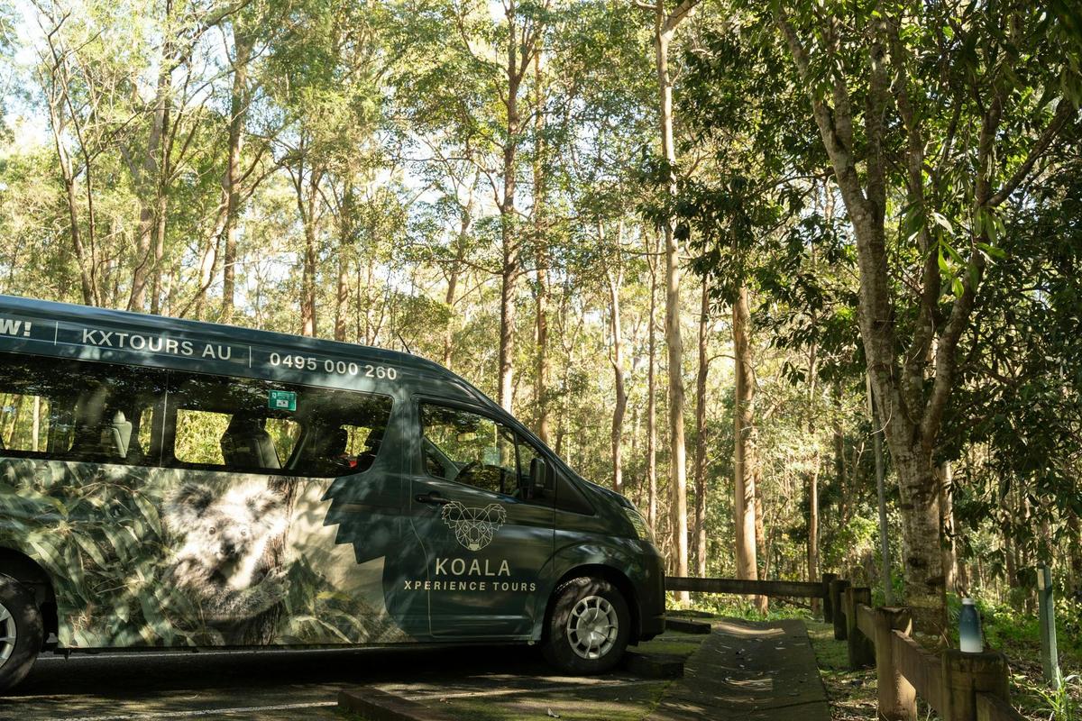 Koala Xperience Tours