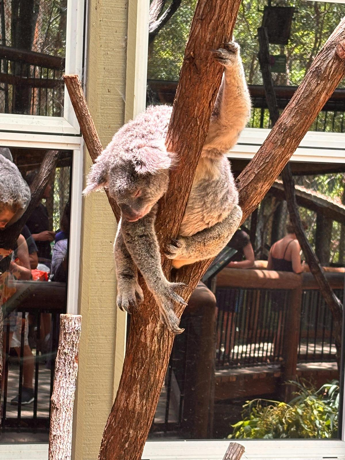 Hanging about