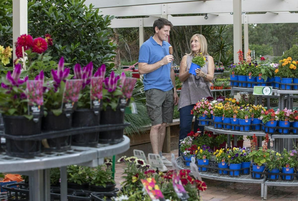 Pohlmans Nursery
