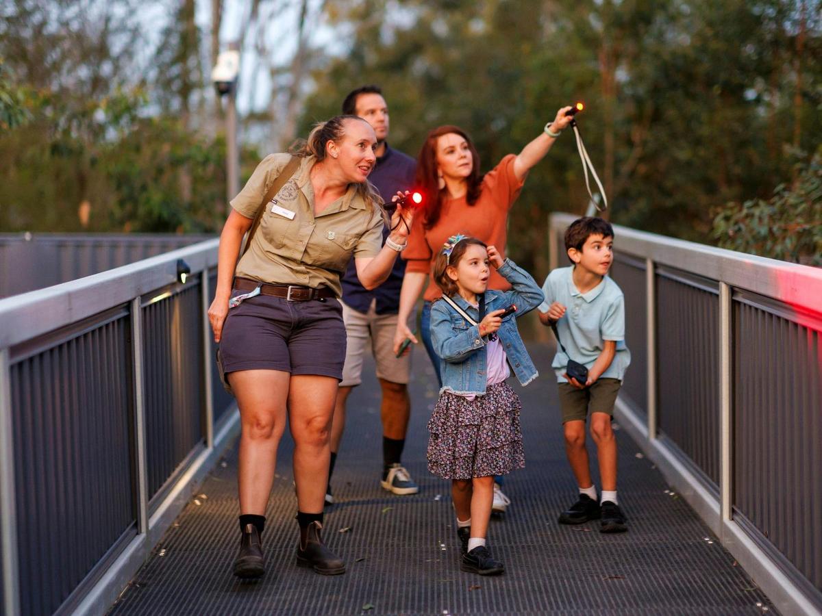 Guests enjoying our popular Twilight Nocturnal Tour at Lone Pine Koala Sanctuary.