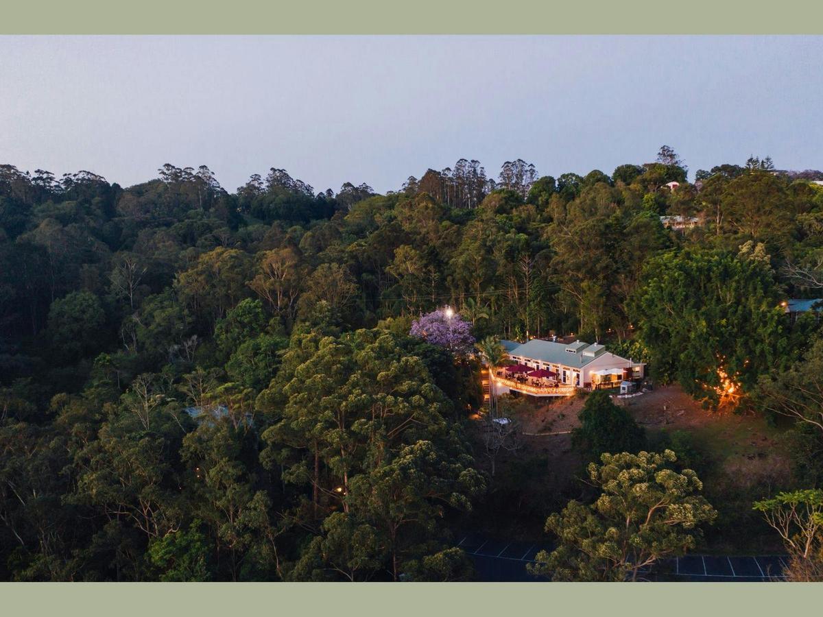 Aerial view of Kondalilla Restaurant and surrounding bush land
