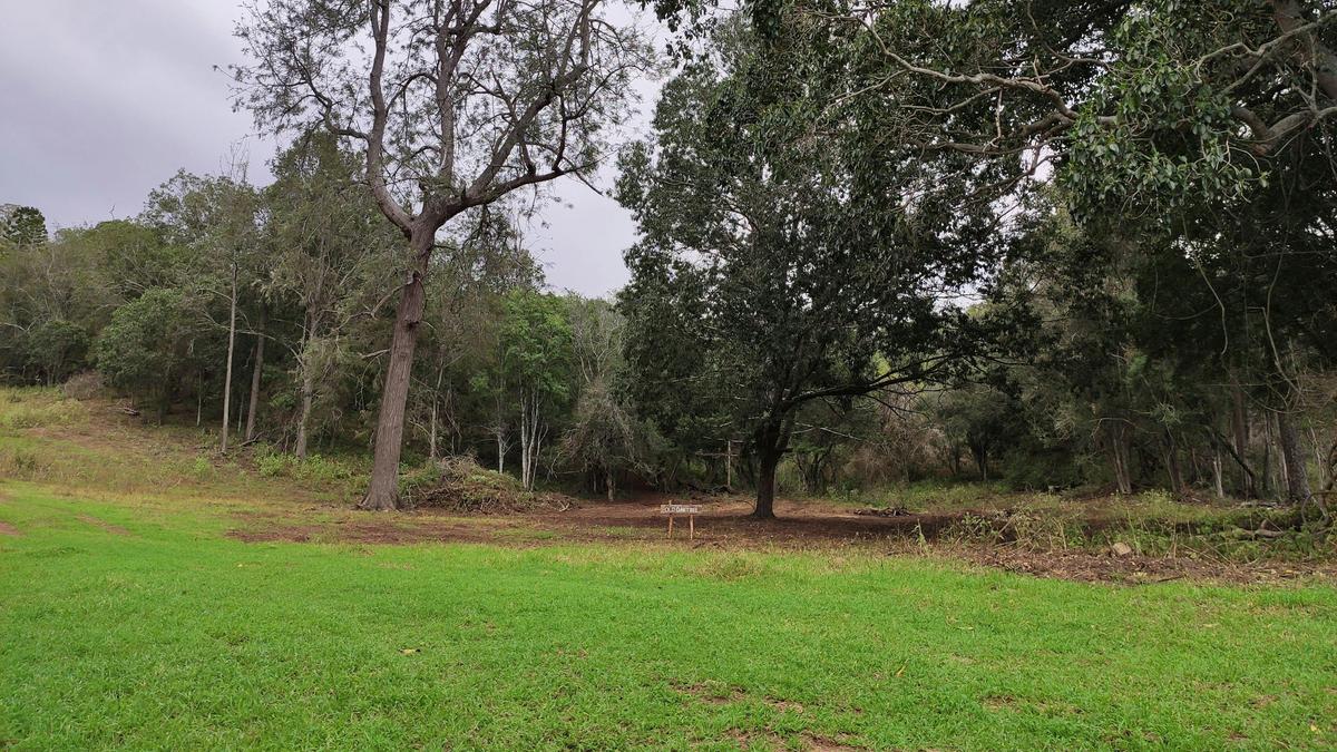 LeJackz!!!