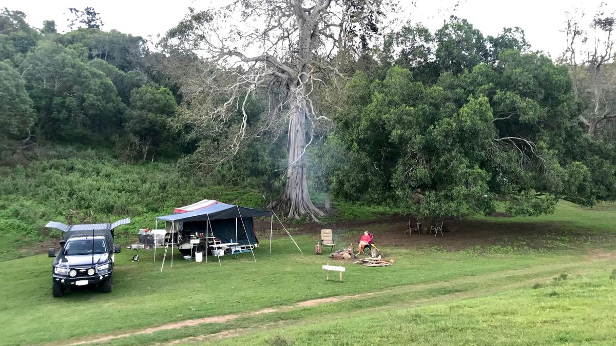 Fig Tree Camping