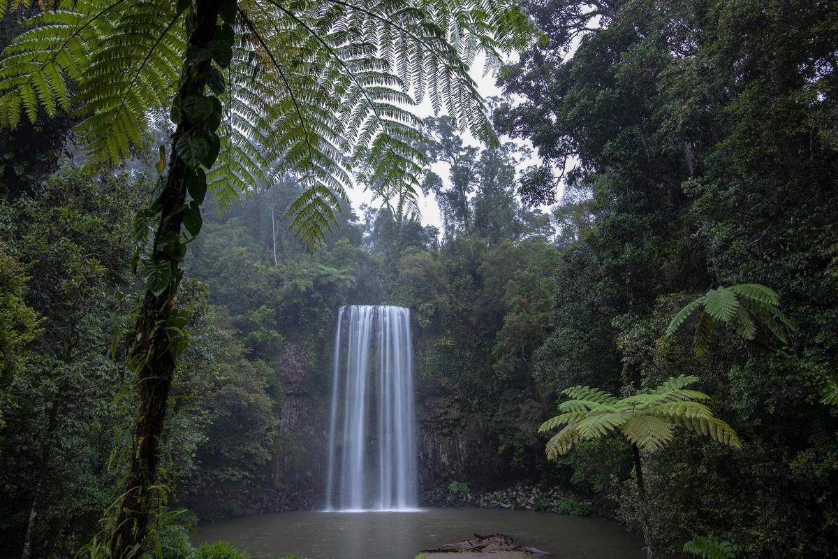 Millaa Millaa Falls