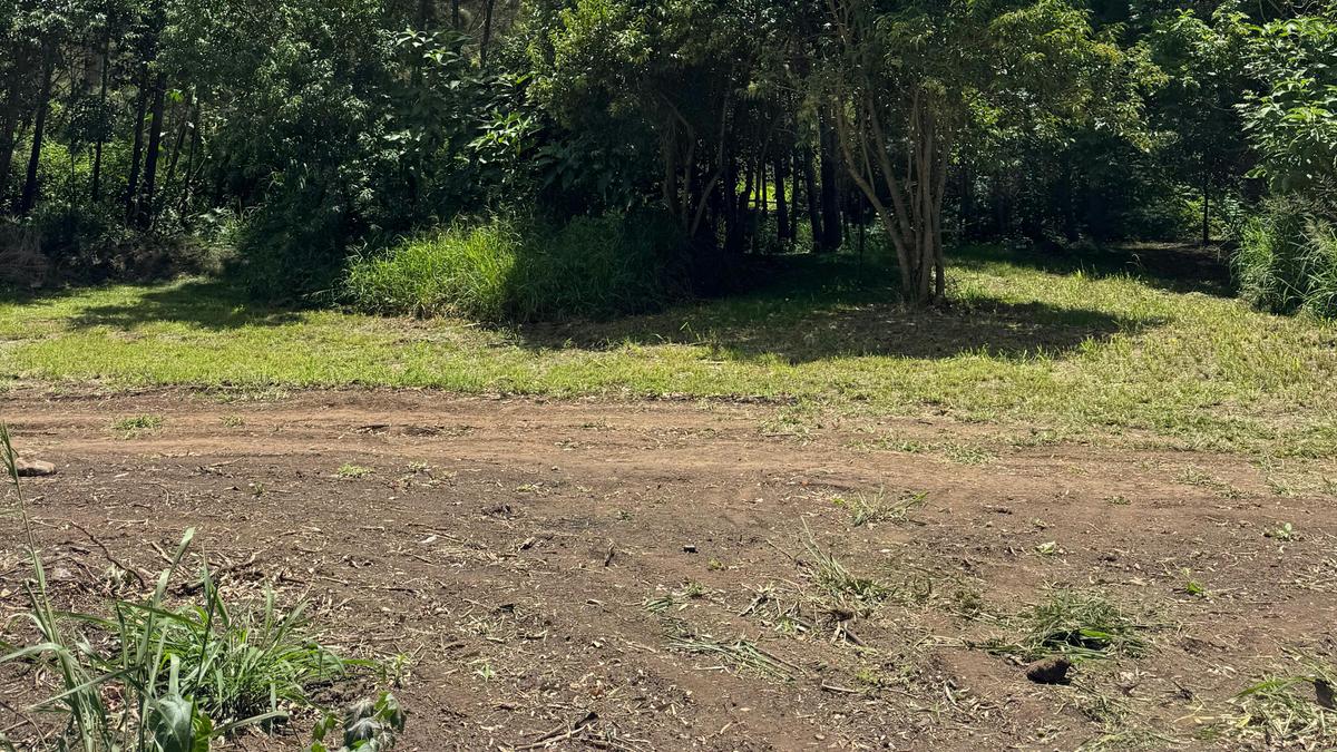 Little Oakey Acres Escape