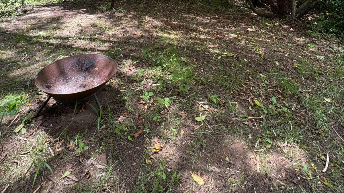 Little Oakey Acres Escape