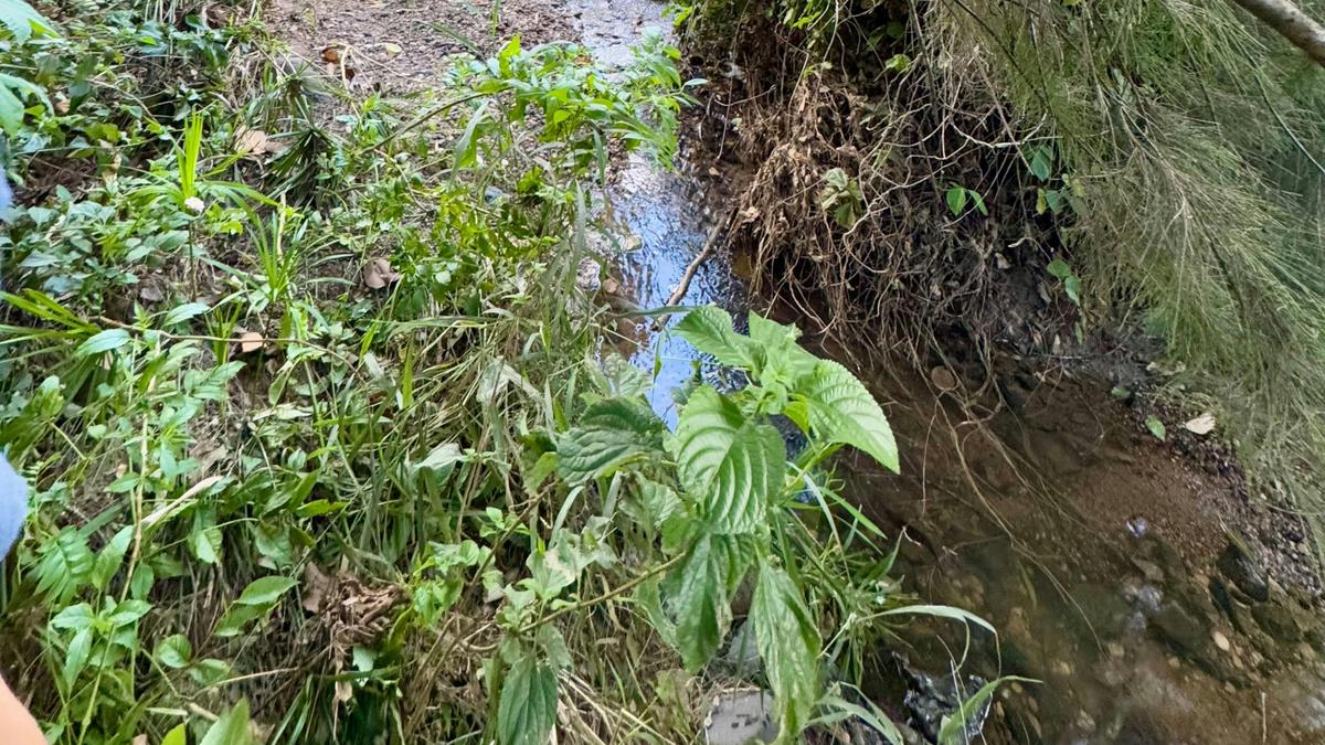 Little Oakey Acres Escape