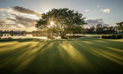 Links Golf & Wellbeing