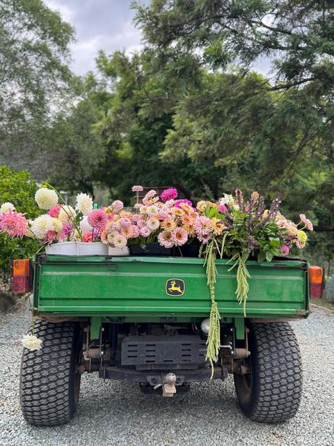 Macadamia House and Floral Farm
