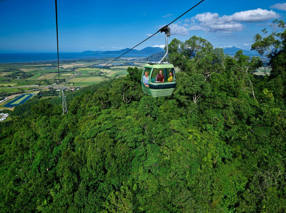 Skyrail rainforest cableway