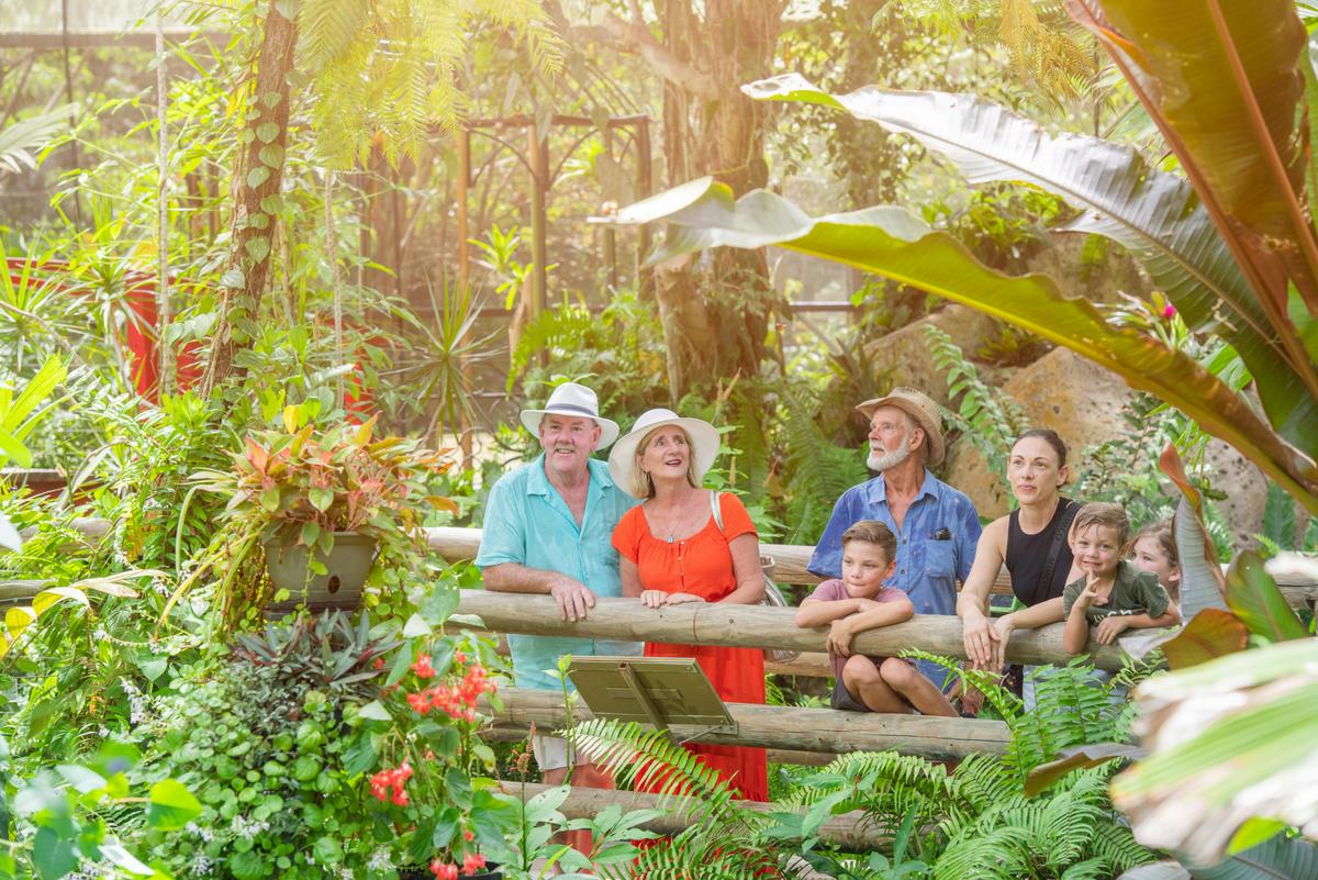 Guided Tour to Skyrail, Kuranda, Scenic Train and Palm Cove