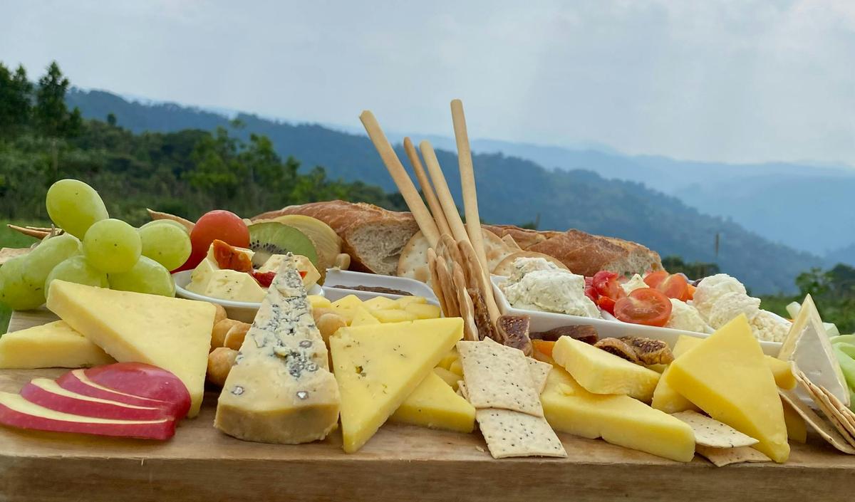 Outback Tasting Adventures from Cairns