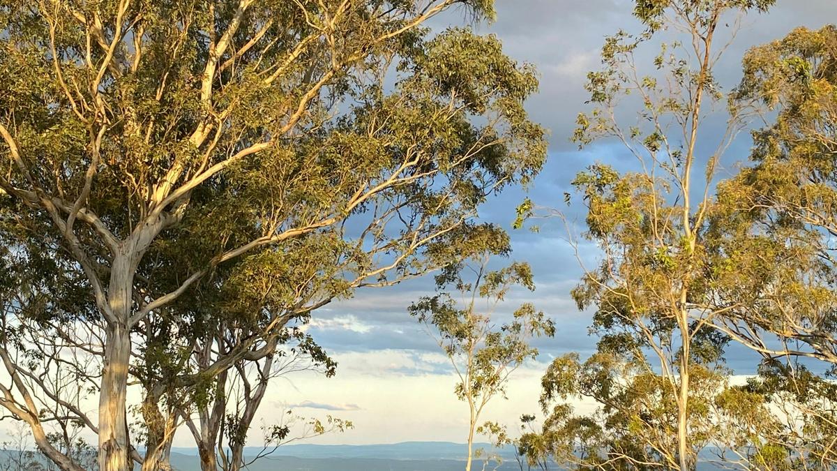 Kookaburra Kamp