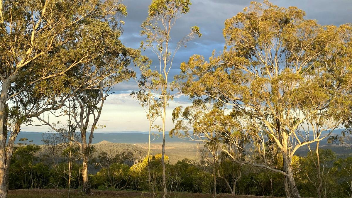 Kookaburra Kamp