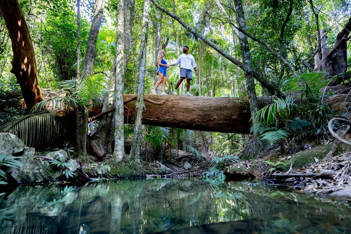 D'Aguilar National Park Rainforest Circuit