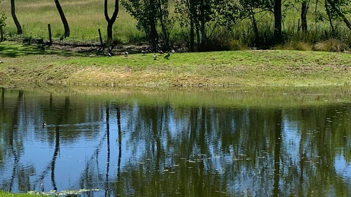 Loft Haven Meadows at Girraween
