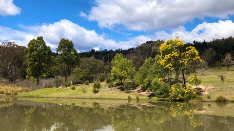Loft Haven Meadows at Girraween