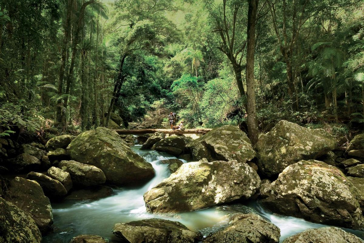Great Walk Sunshine Coast Hinterland