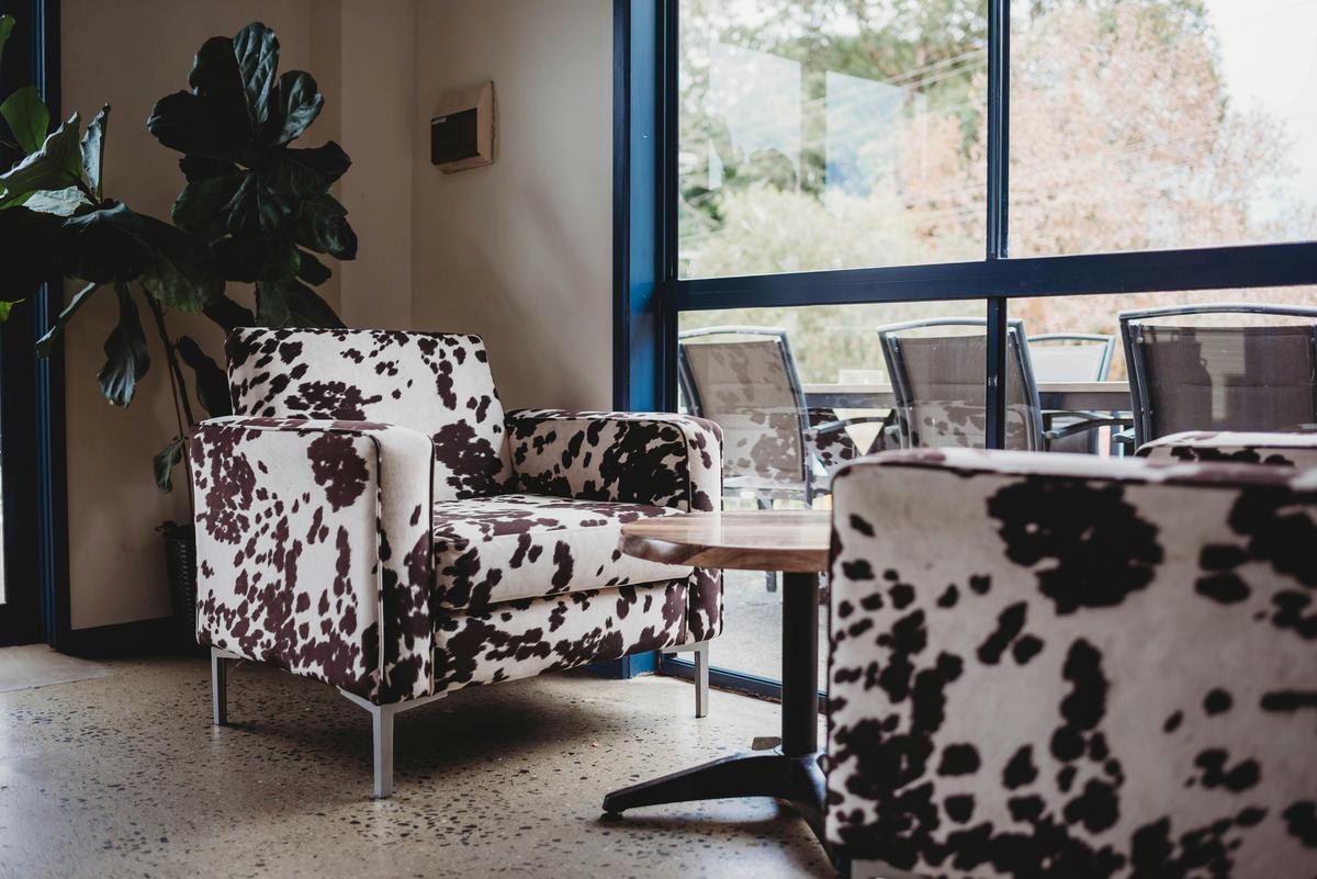 Cowhide print cloth couches