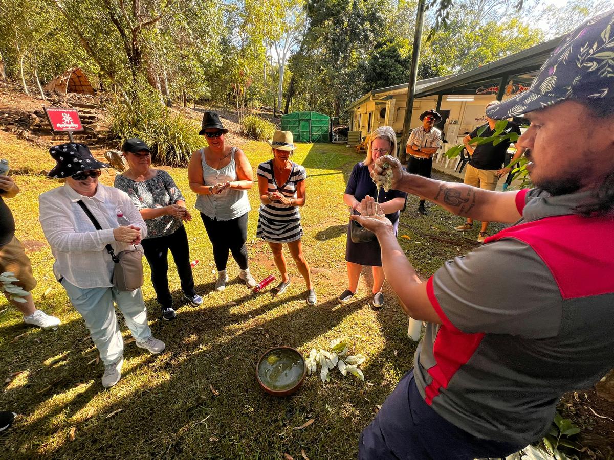 Half Day Hands On Country Eco Tour
