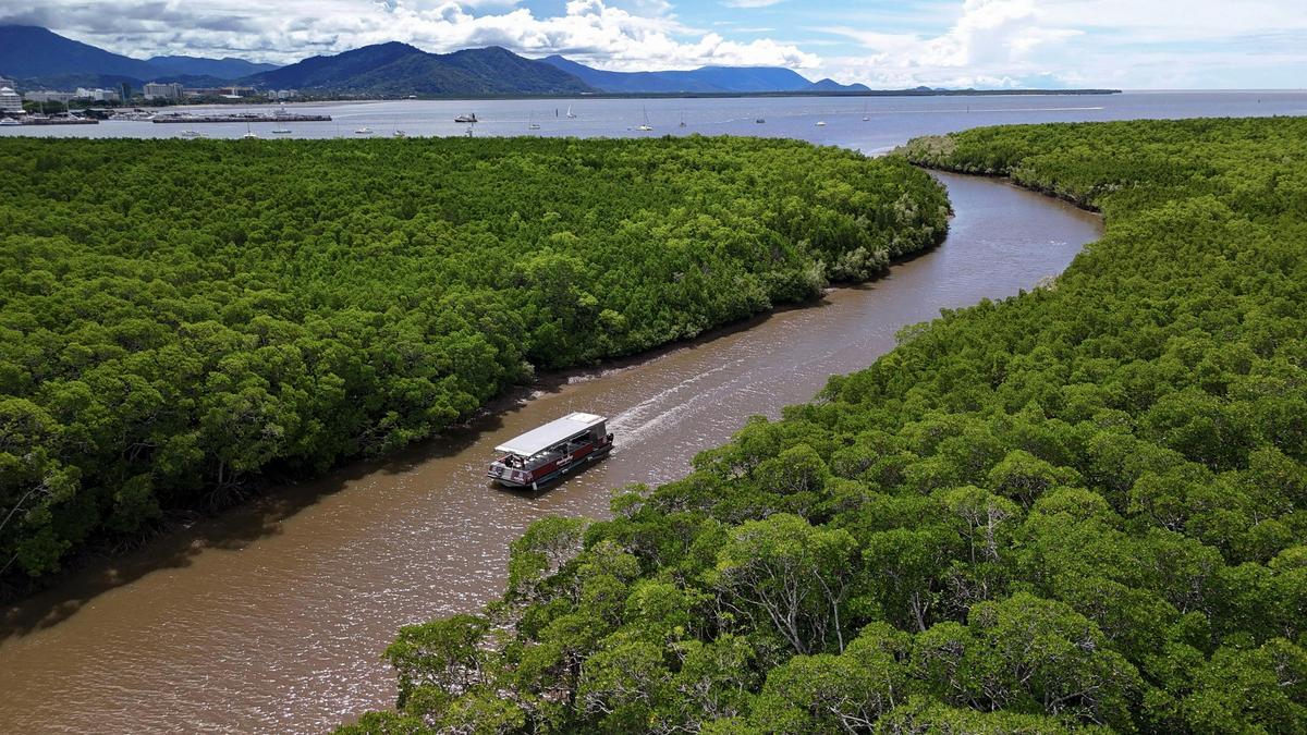 Cultural River Cruise Cairns