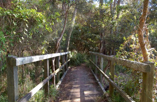 Awaba Bay Foreshore Walk