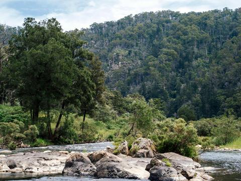 Nymboi-Binderay National Park