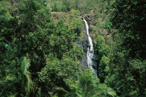 Mapleton Falls National Park